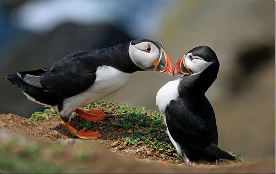 Sergiusz Waśko | Rybnik