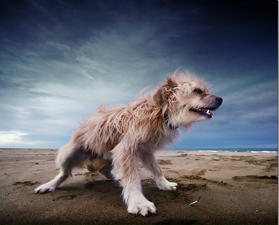 Sergiusz Waśko | Rybnik