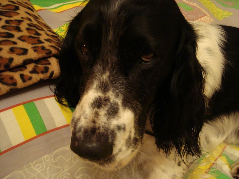 Дмитрий Чуриков Smail | Николаев