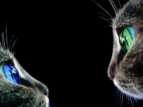 Александр Иванов | Кострома