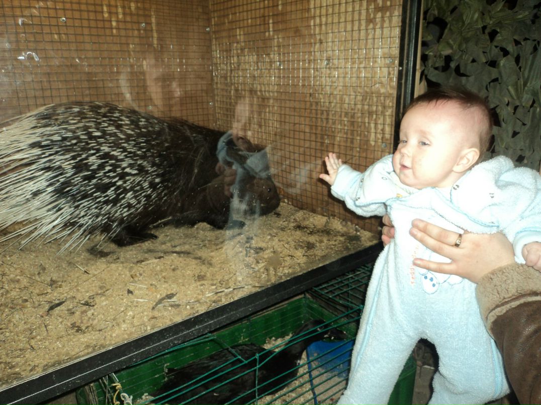 Вячеслав Трофимовский | Санкт-Петербург