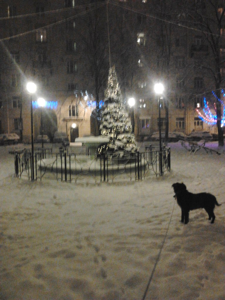 Нина Ребязина | Санкт-Петербург