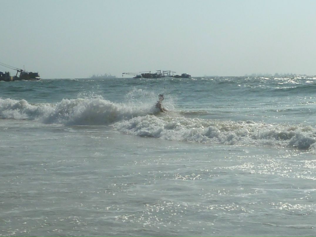 Антон Роньжин | 