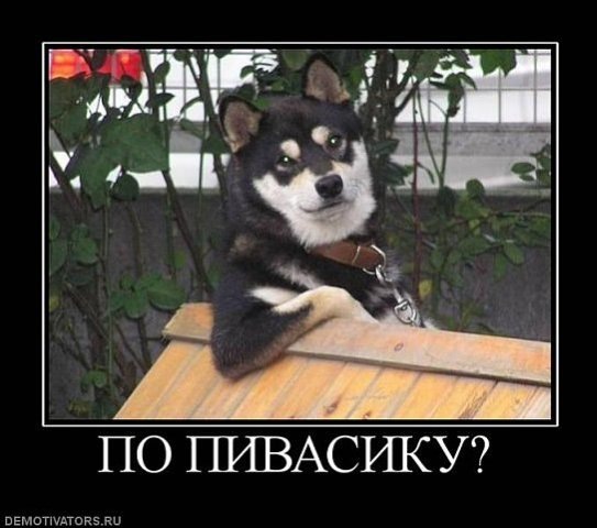 №153, Юлия Каспер-Науменко, Киев №153, Юлия Каспер-Науменко, Киев