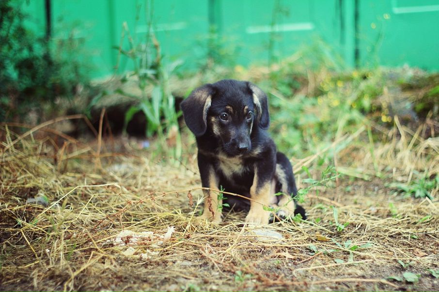 №188, Liquid Day №188, Liquid Day