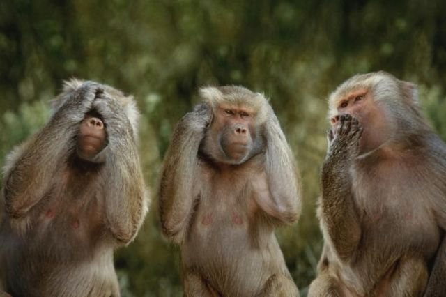 Павел Зимонов | Пенза