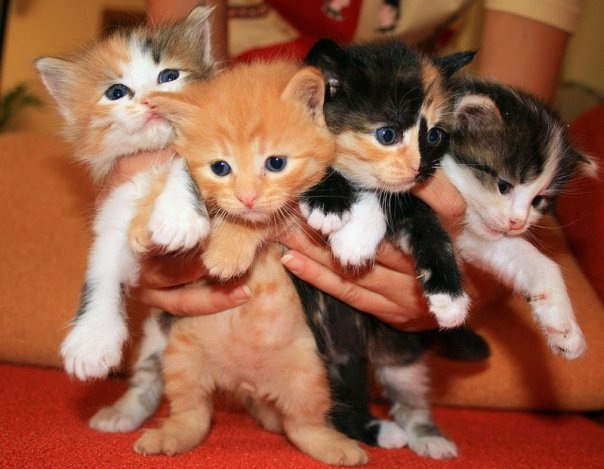 №2, Таня Макаров, 34 года, Запорожье №2, Таня Макаров, 34 года, Запорожье