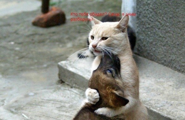 Natafffffka Kovaluyk | Луцк