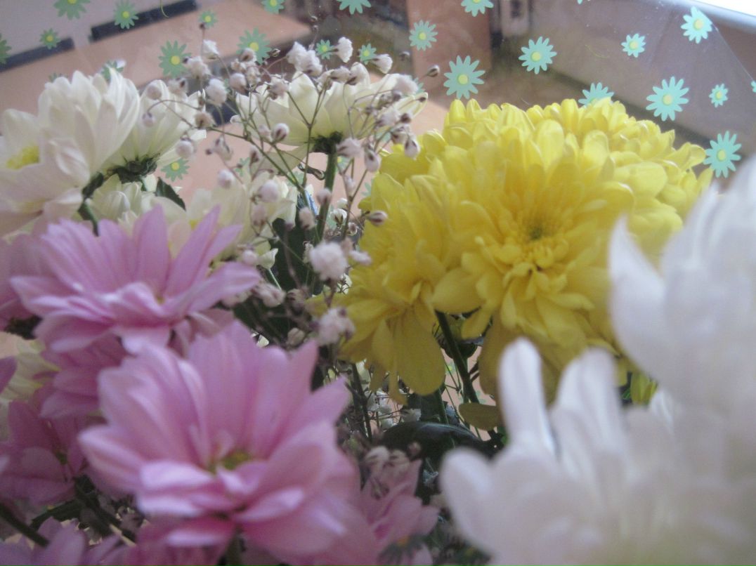 Ксения Саловарова | Екатеринбург