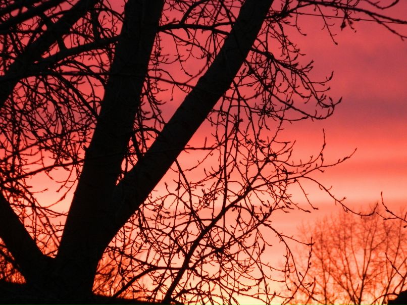 Маргарита Карпенко | Екатеринбург