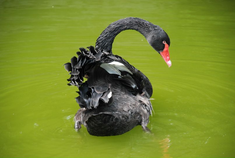 Елена Вайсман | Санкт-Петербург