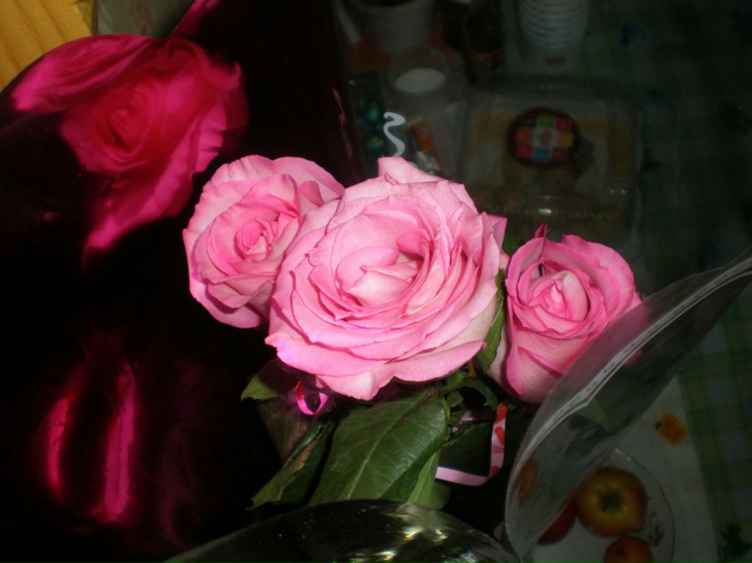 Елизавета Ямщикова | Москва