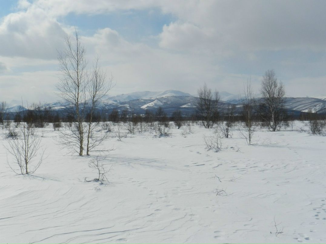 Илья Данченко | Елизово