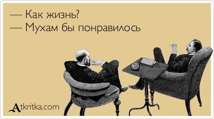 Юрий Хрульков REANIPLATOR | Санкт-Петербург