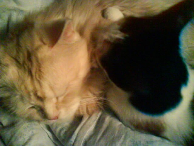 Татьяна Трофимова | Оренбург