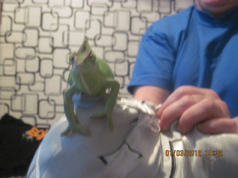 Татьяна Столярова ВАСИЛЬЕВНА | Уфа