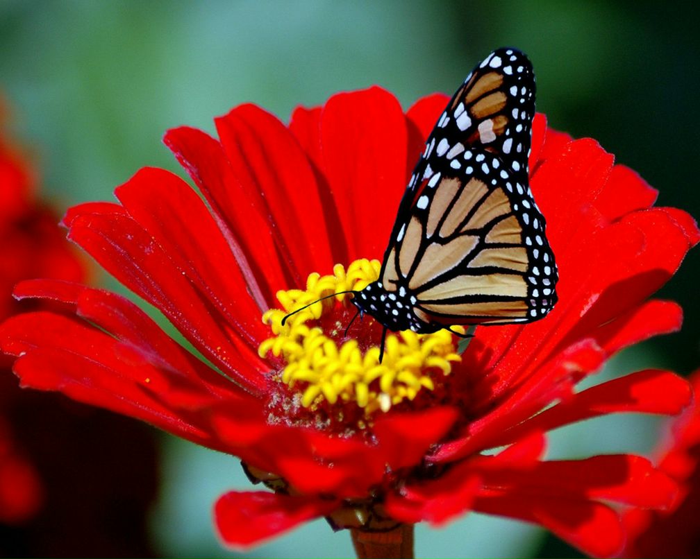 Мила Милушкина | Уфа