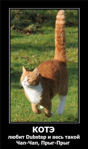 №12, Александр Поселёнов №12, Александр Поселёнов