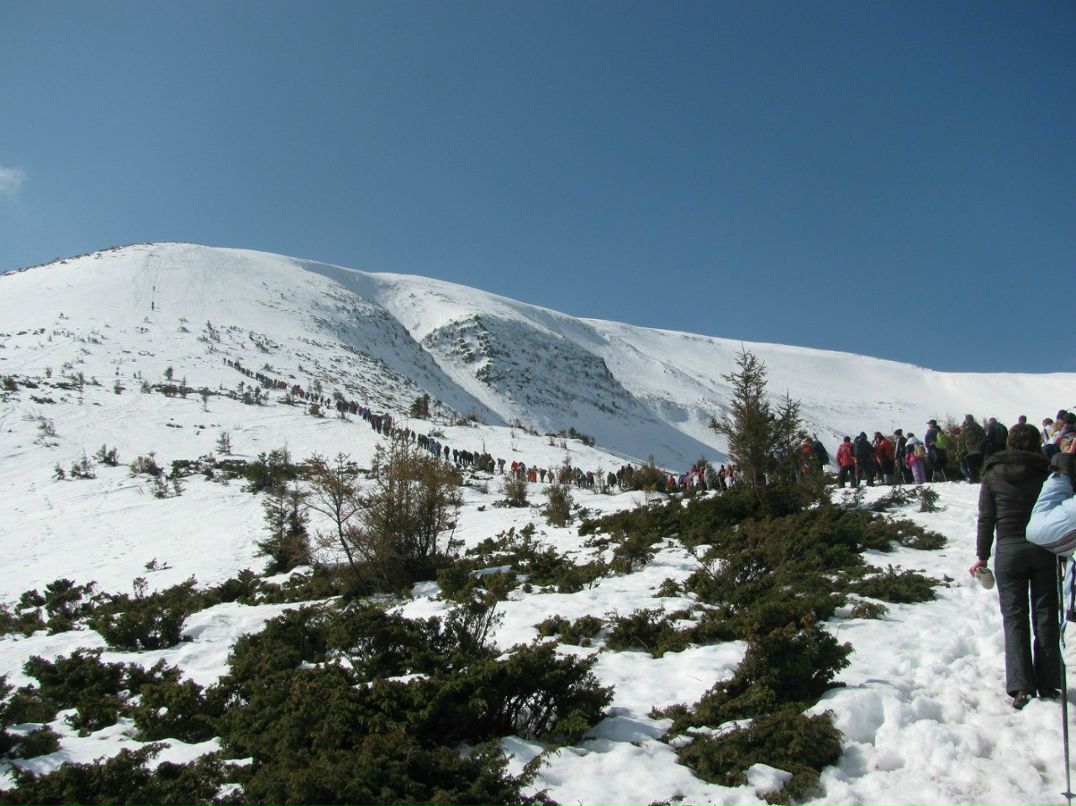 Діма Кохан | 