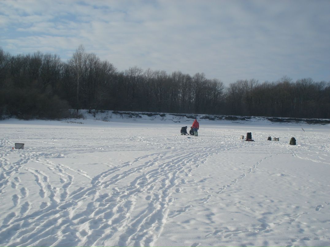 Дмитрий Ганнин | Сумы
