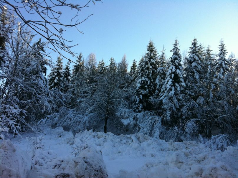 №23, Светлана Lilsi, Москва, Россия №23, Светлана Lilsi, Москва, Россия