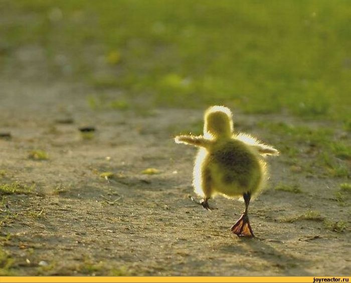 Елизавета Трубкина | Москва
