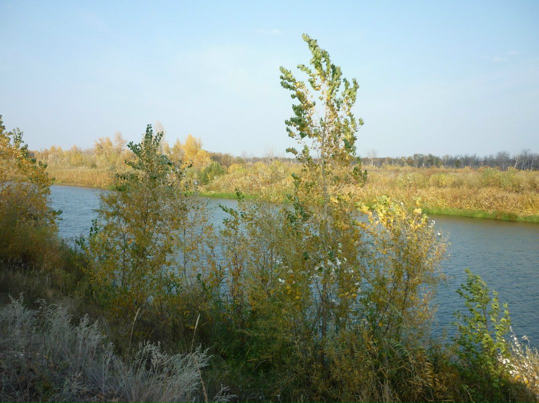 Виталий Селиванов #Morgan# | Михайловка