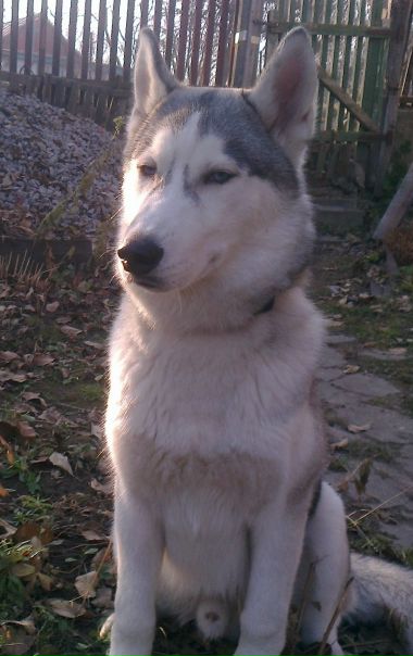 №79, Макс Пешков, 40 лет, Киев №79, Макс Пешков, 40 лет, Киев