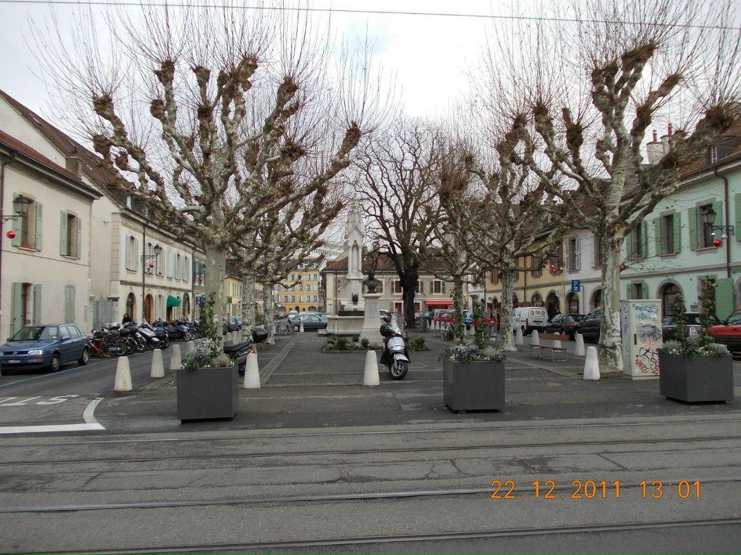 Антон Кулик 