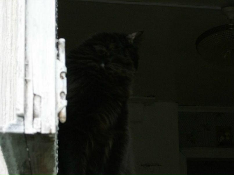 Сергей Паршин ZVEZDEC | Томилино