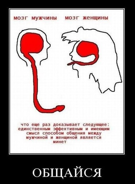 №2, Сашок Старов №2, Сашок Старов