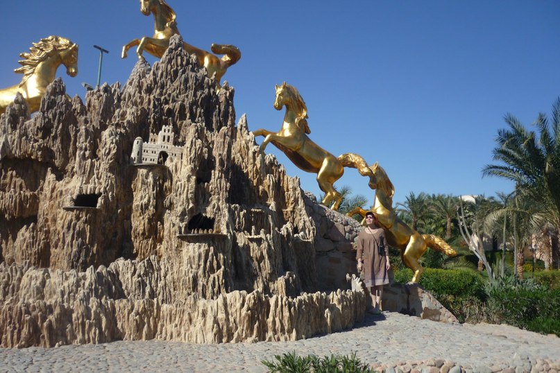 Ольга Барашкова | Новосибирск