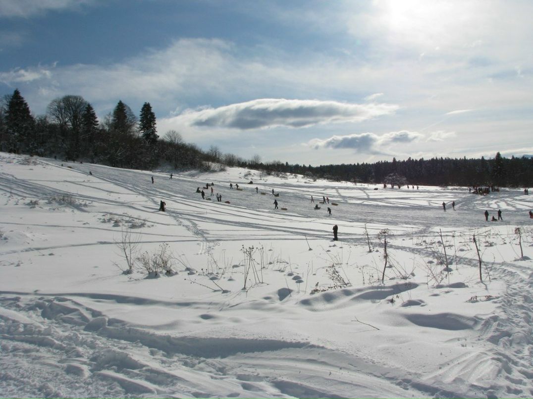 Юлия Лисник | 