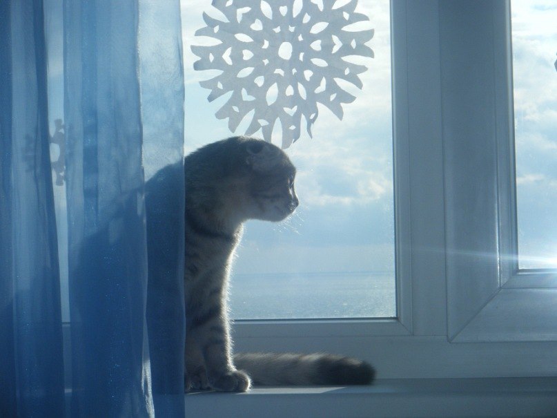 Наташа петушкова-вакарюк | 