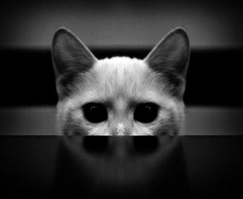 Марьям Мусаева | Припять