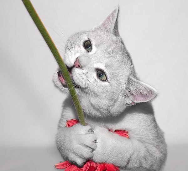 Татьяна Савенец | La Spezia