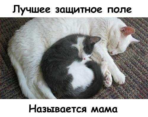 Арина Заднепровская | Тимашевск