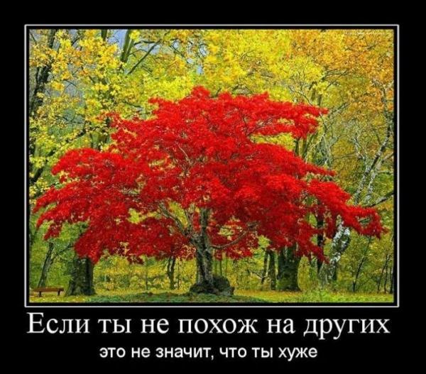 Арсений Пряничкин | Ростов-на-Дону