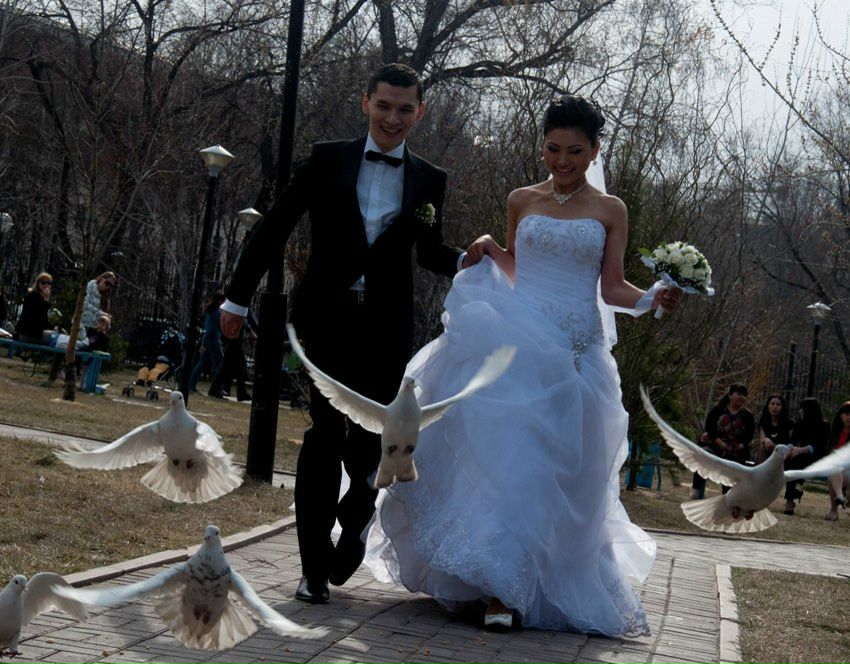 Da Jiva budu | Алматы