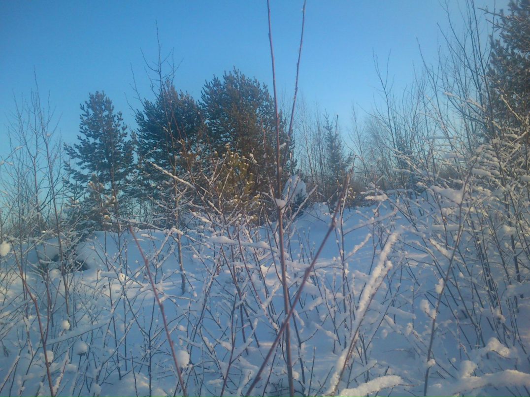 Александр Бугуртов | Стрежевой