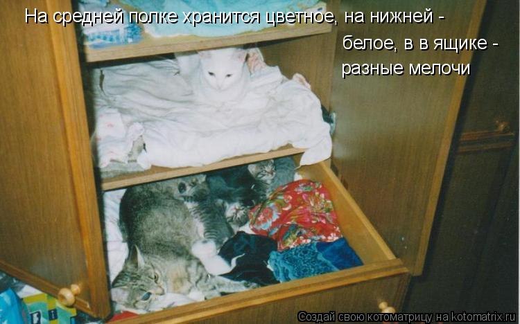 Игорь Дрозд | Новая Ялта