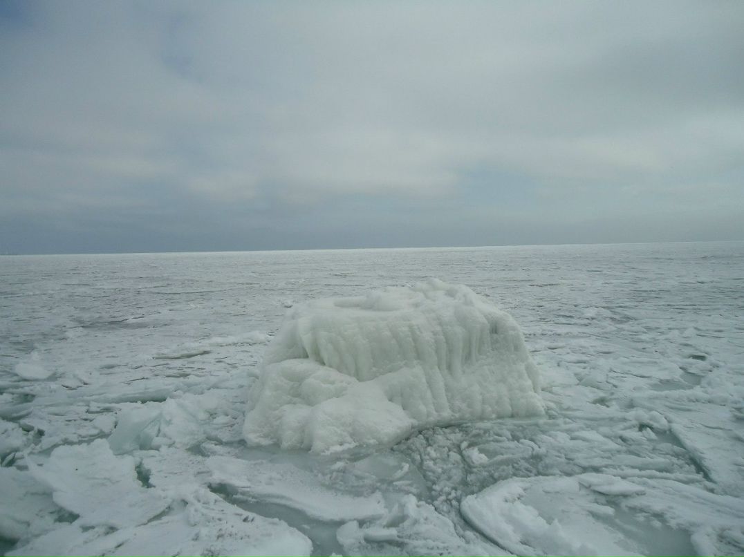 Наташа Артёменко | 