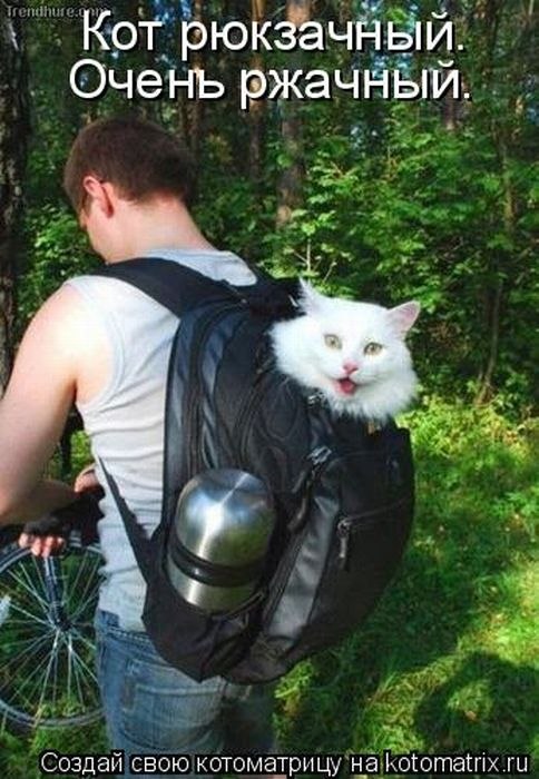 Arxangel Dark | Кириши