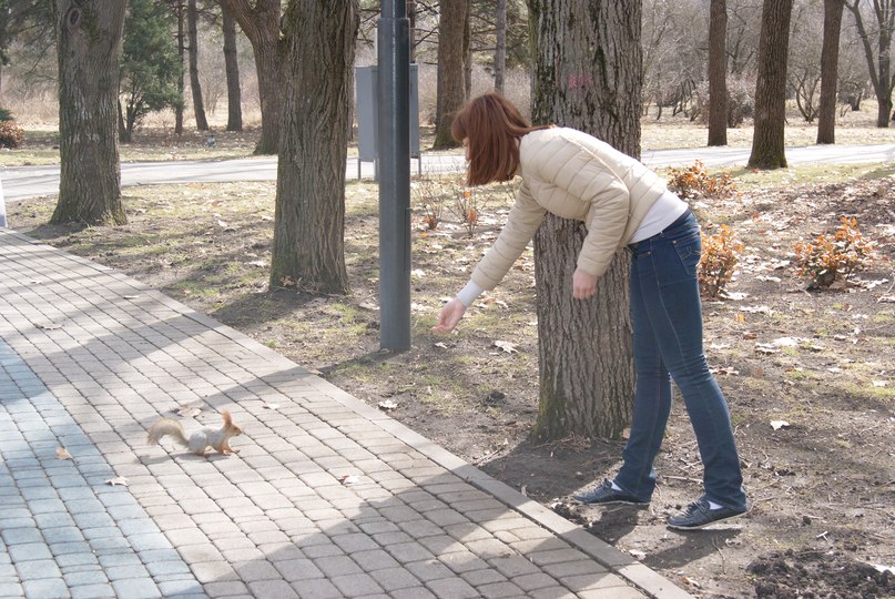 Елена Могутина | 