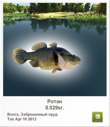 Redsam Red redsam2 | 