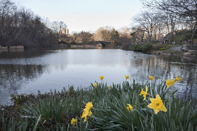 Дмитрий Шеврин | Москва
