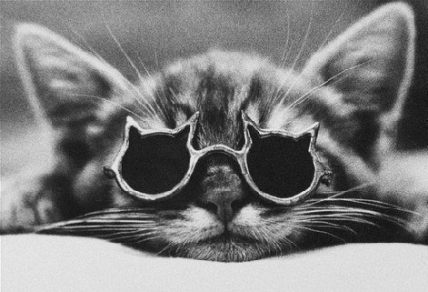 Анна Философова | Bayamo