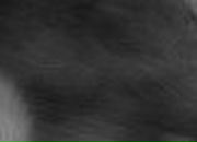 Наргиза Джалилова | Москва