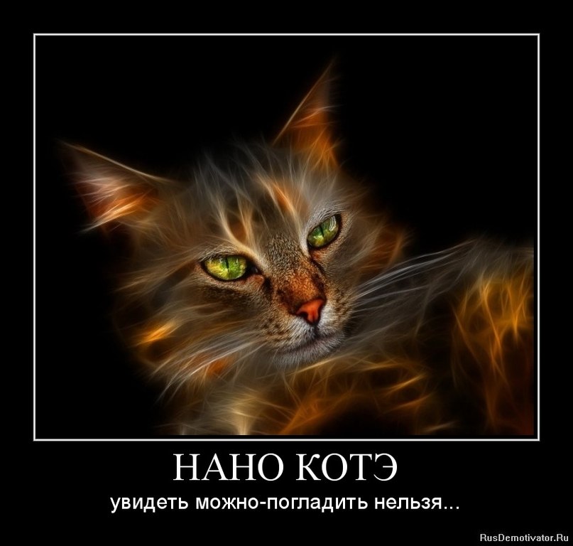 Александр Чернышов | Лакинск