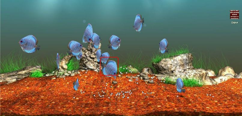 Аня Чернышова | Нижний Новгород